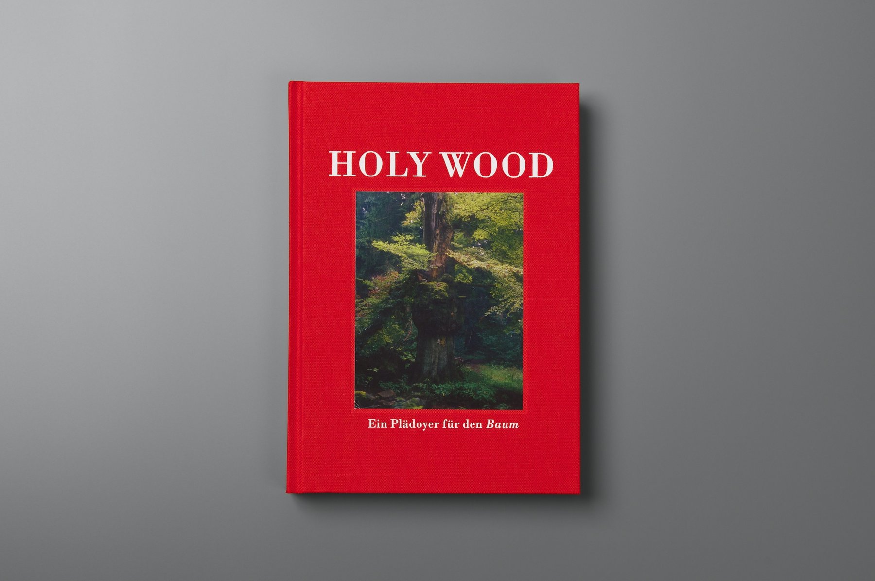 Holy Wood – Titelansicht